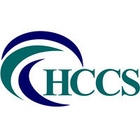 HCCS (Healthcare Coding & Consulting Services)