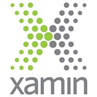 Xamin Logo