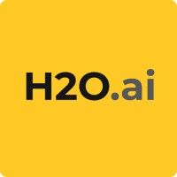 H20.ai Logo