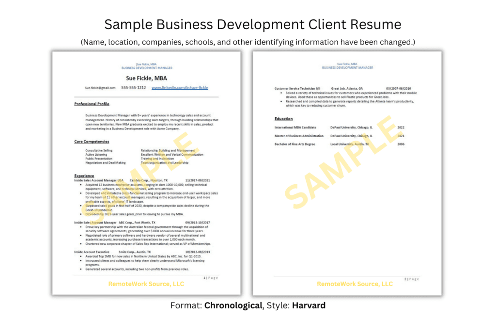 Business Development Resume Sample