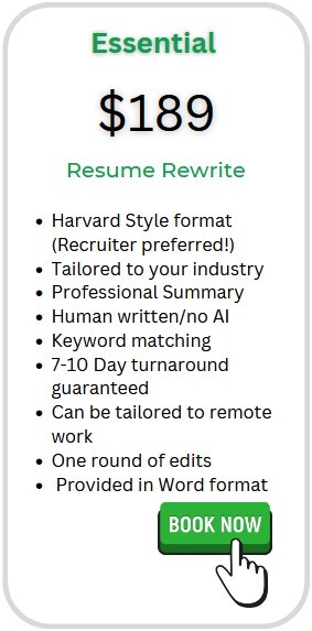 professional resume re-writing service $139